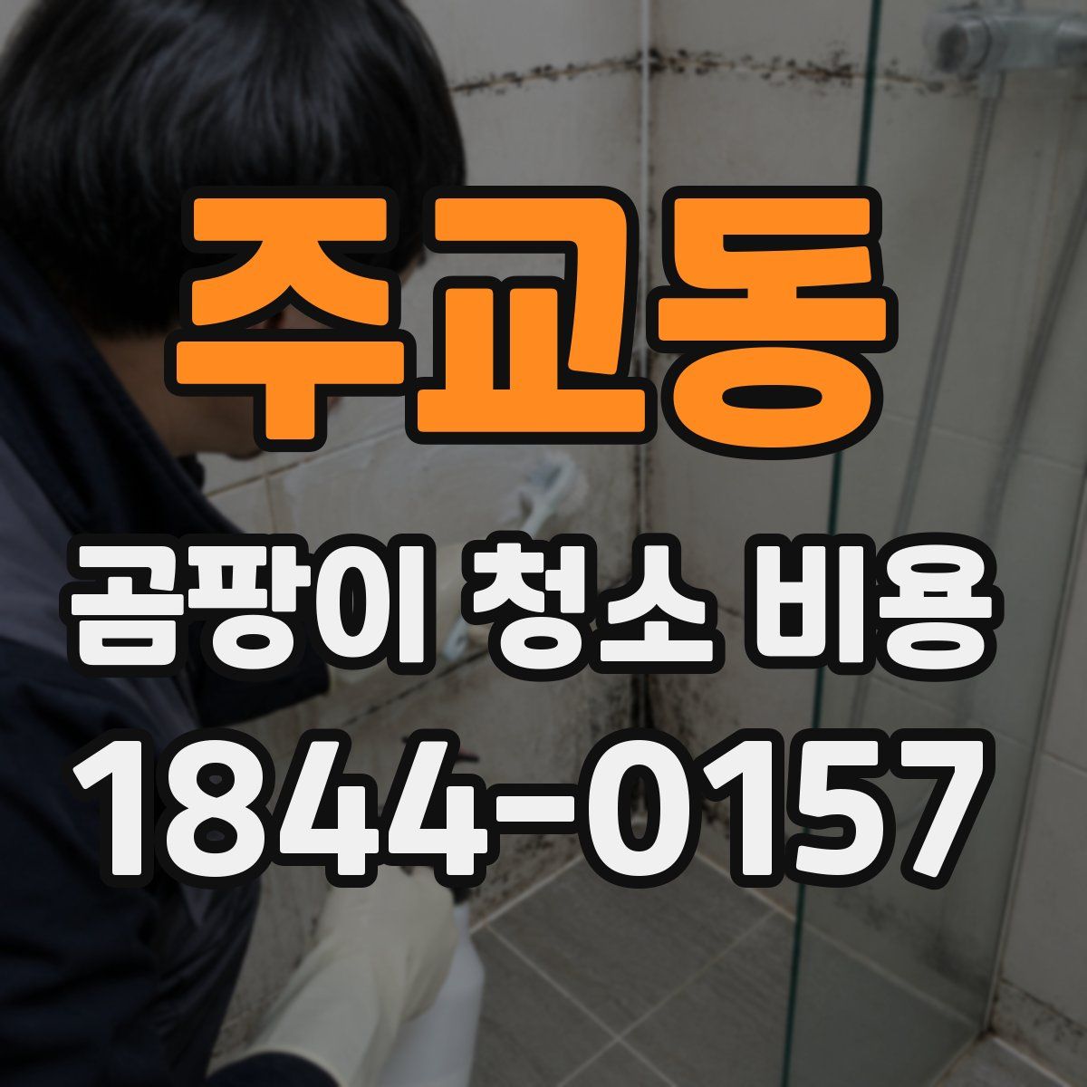 주교동 곰팡이 청소 비용