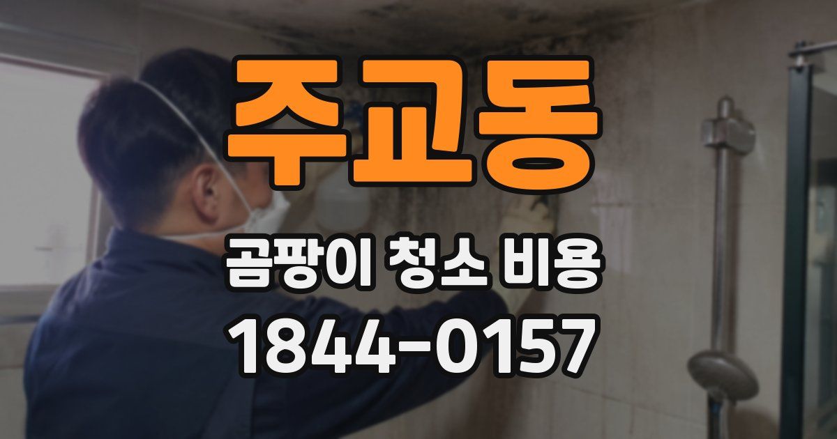 주교동 곰팡이 청소 비용
