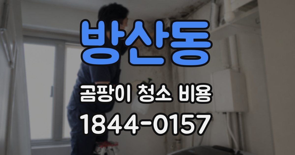 방산동 곰팡이 청소 비용