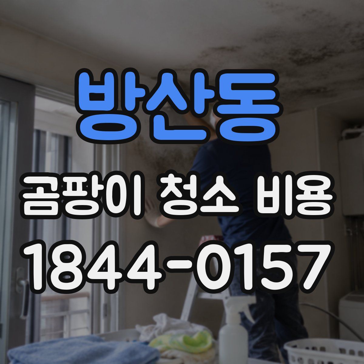 방산동 곰팡이 청소 비용