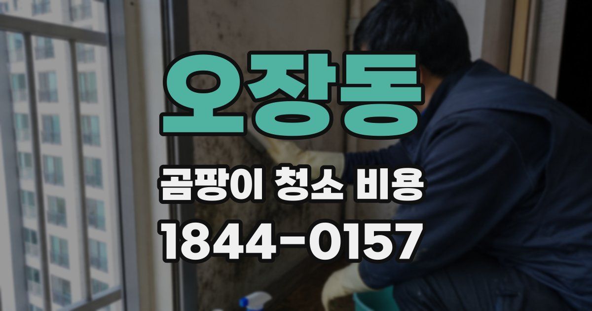 오장동 곰팡이 청소 비용