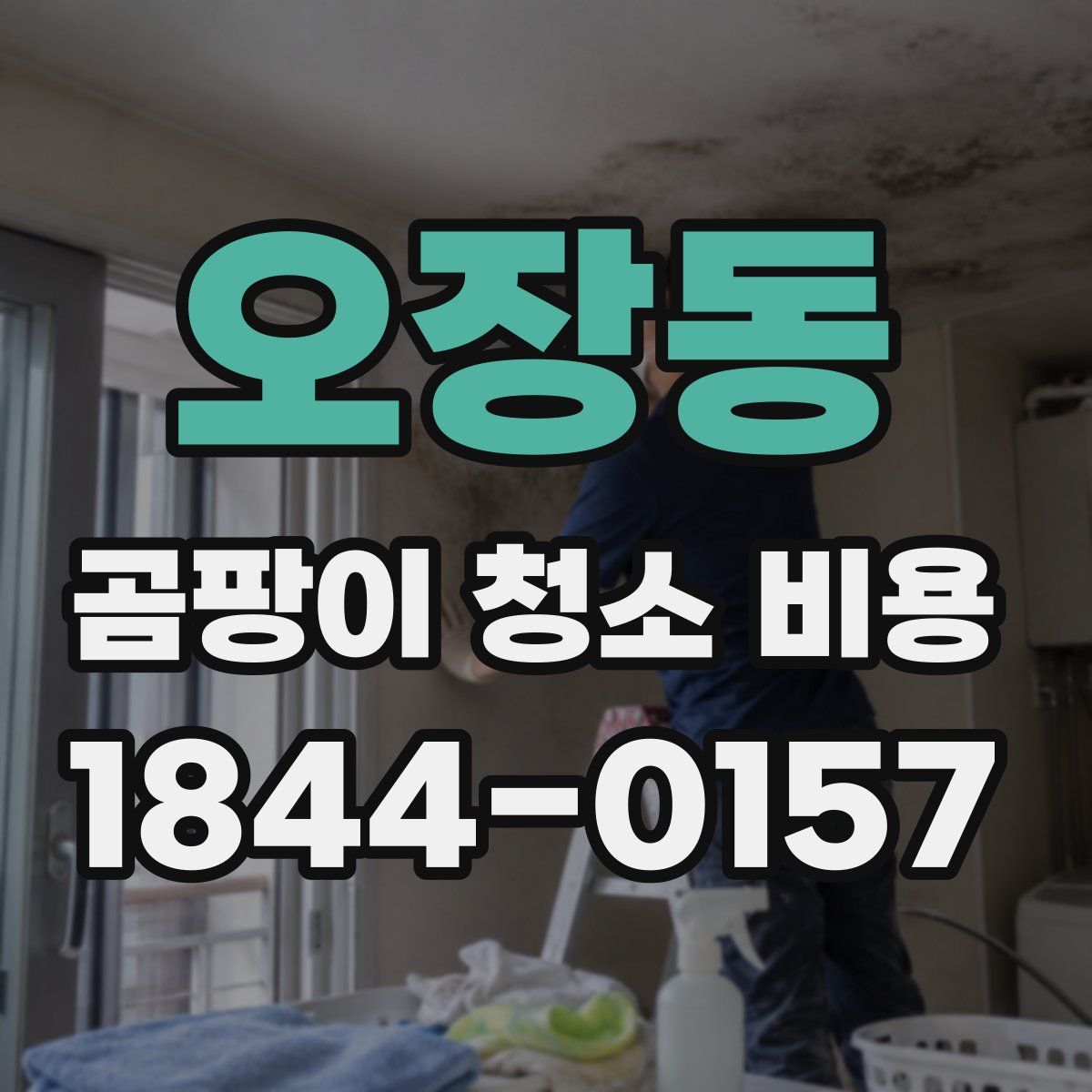 오장동 곰팡이 청소 비용