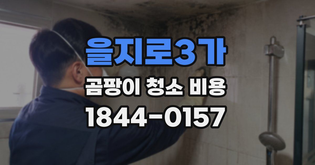 을지로3가 곰팡이 청소 비용