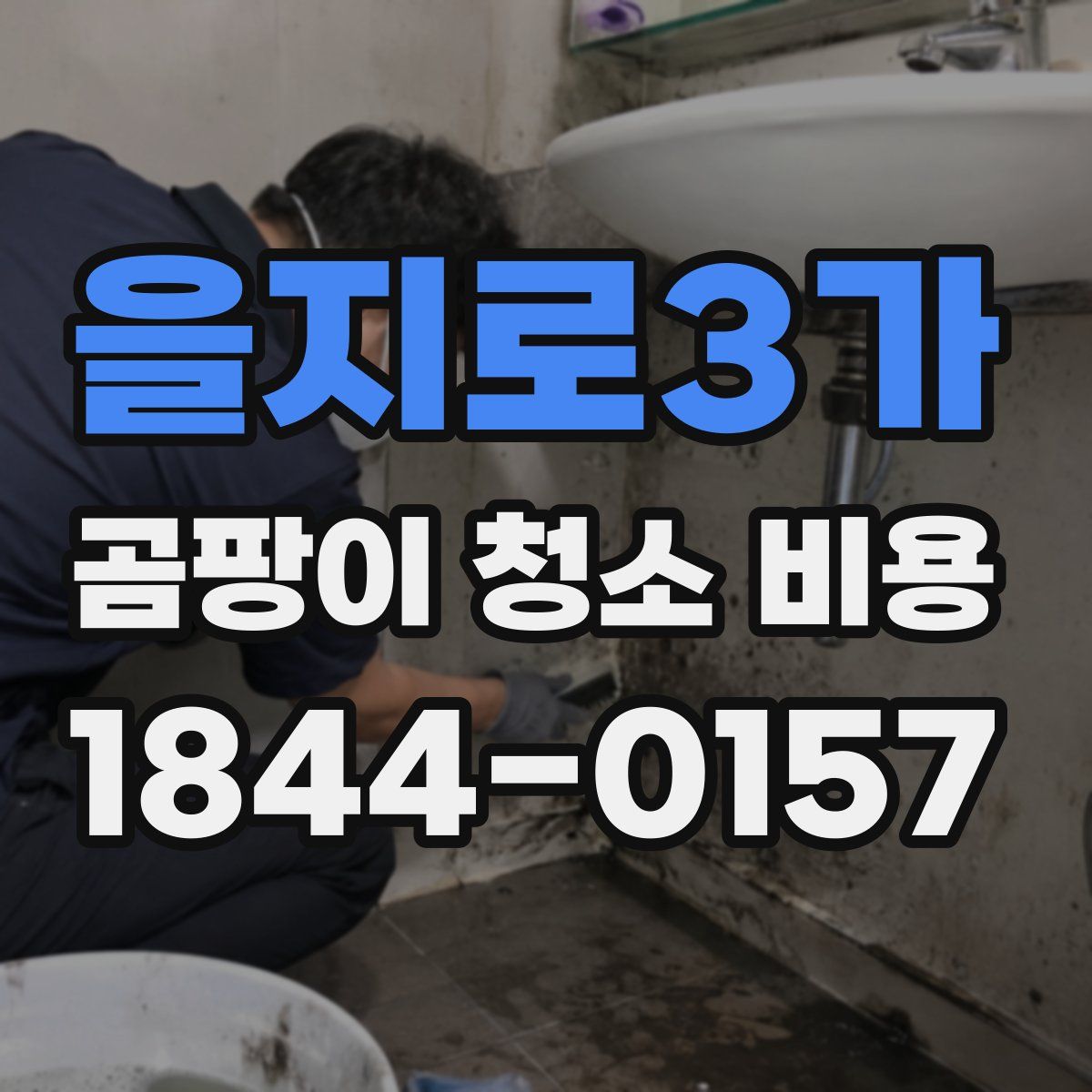 을지로3가 곰팡이 청소 비용