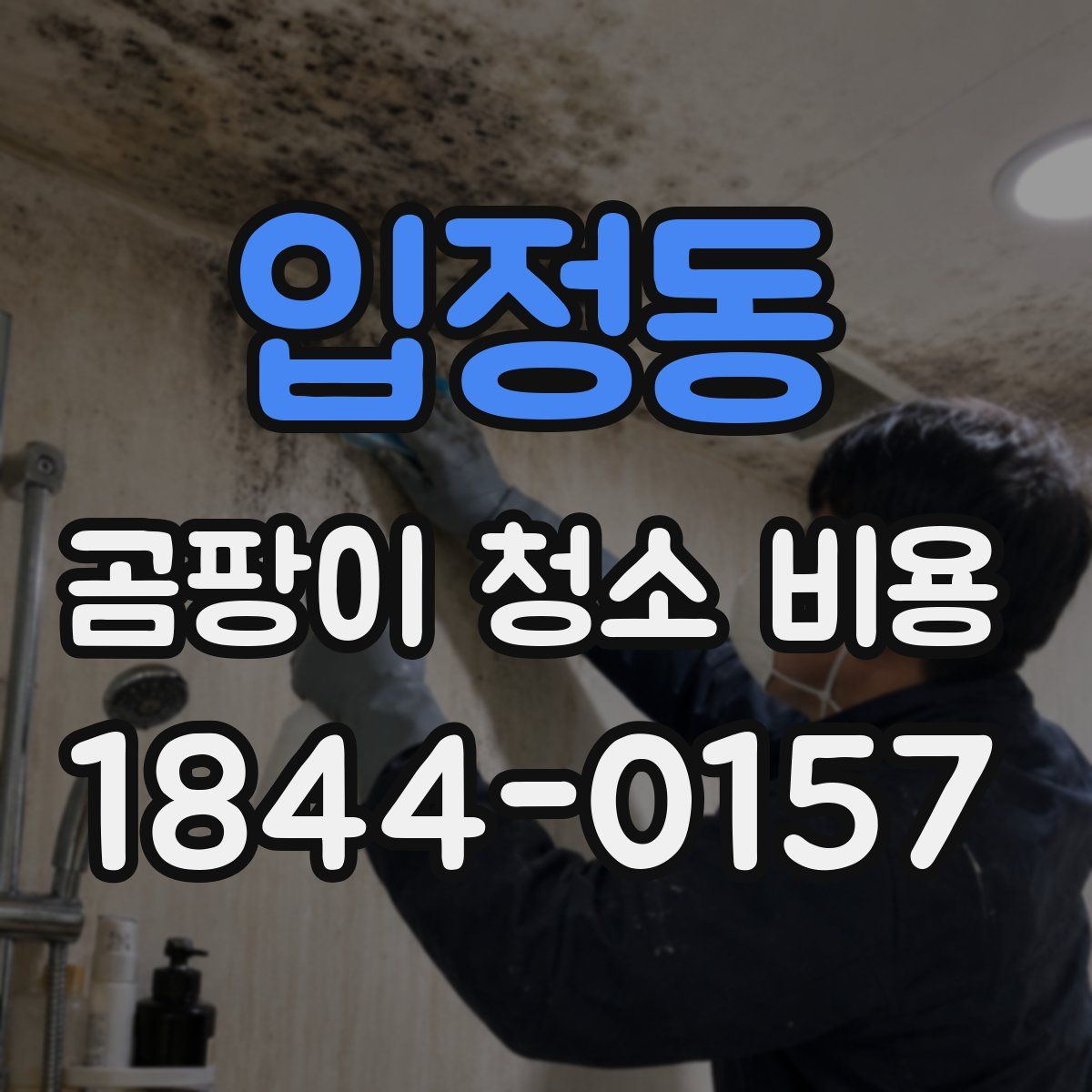 입정동 곰팡이 청소 비용