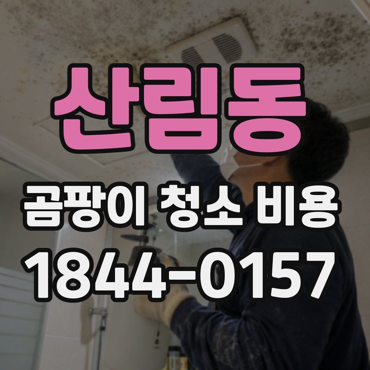 산림동 곰팡이 청소 비용