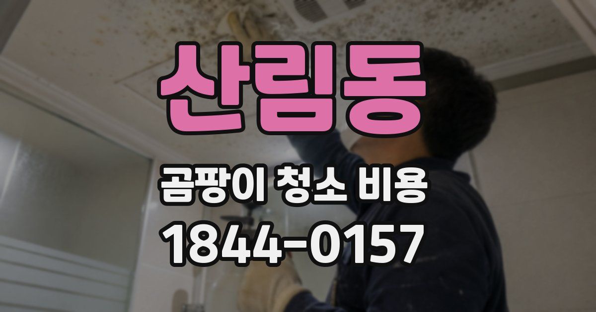 산림동 곰팡이 청소 비용