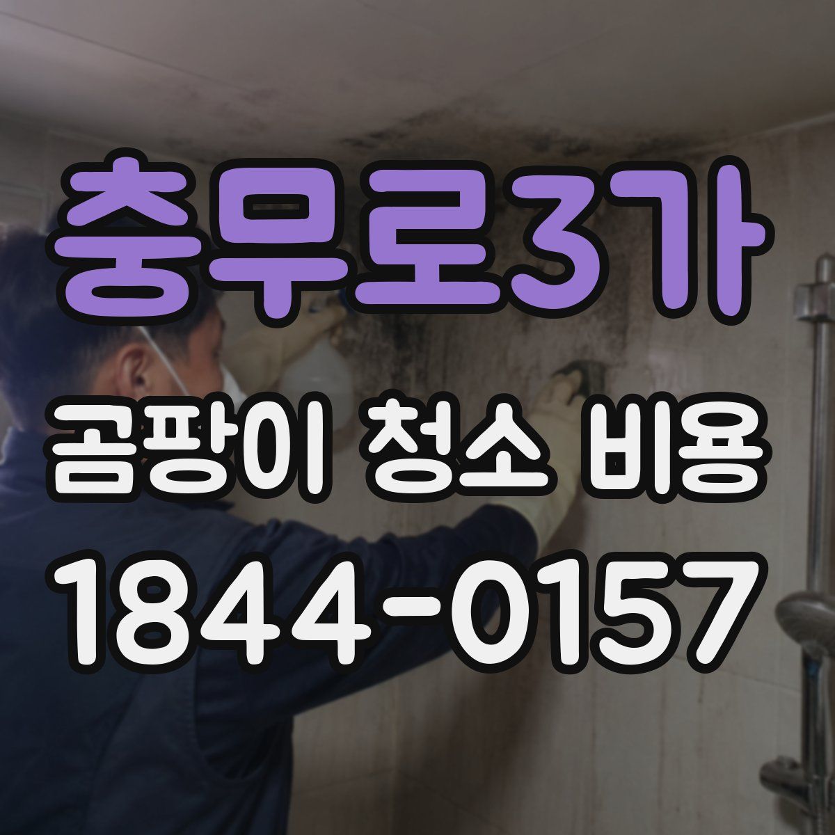 충무로3가 곰팡이 청소 비용