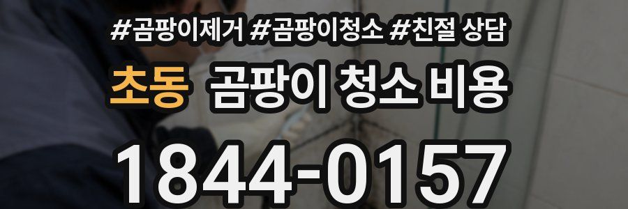 초동 곰팡이 청소 비용