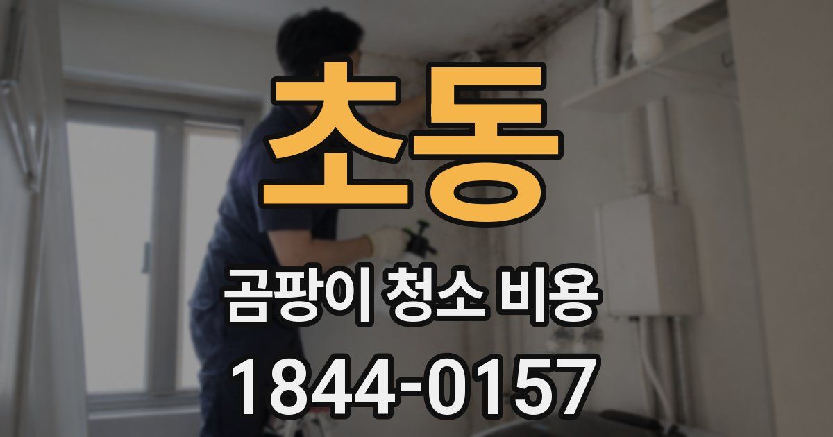 초동 곰팡이 청소 비용