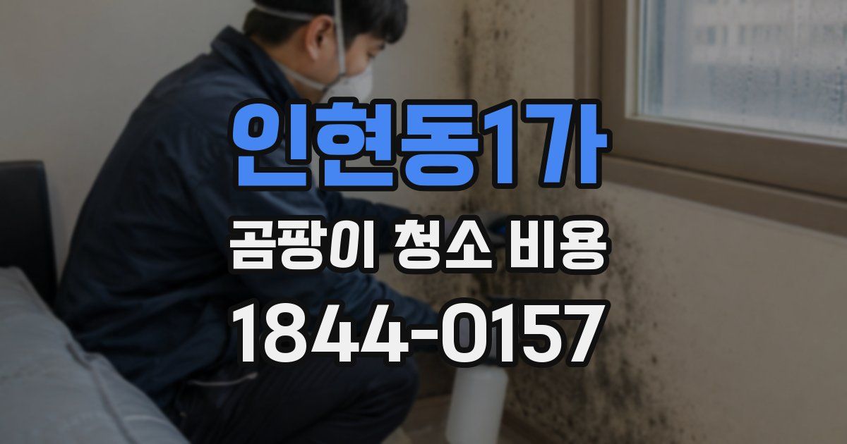 인현동1가 곰팡이 청소 비용