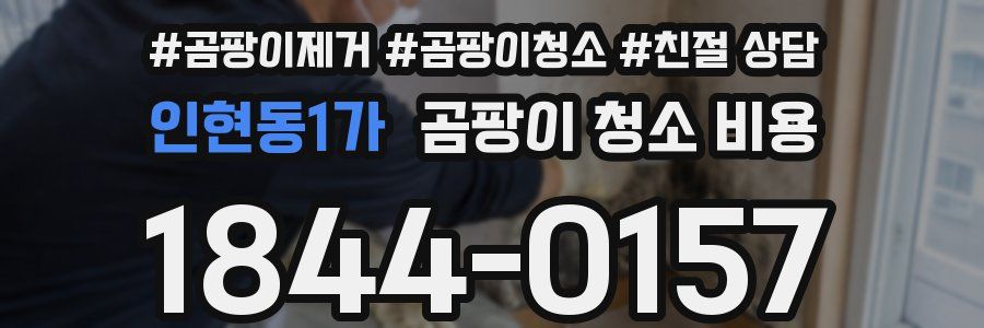 인현동1가 곰팡이 청소 비용