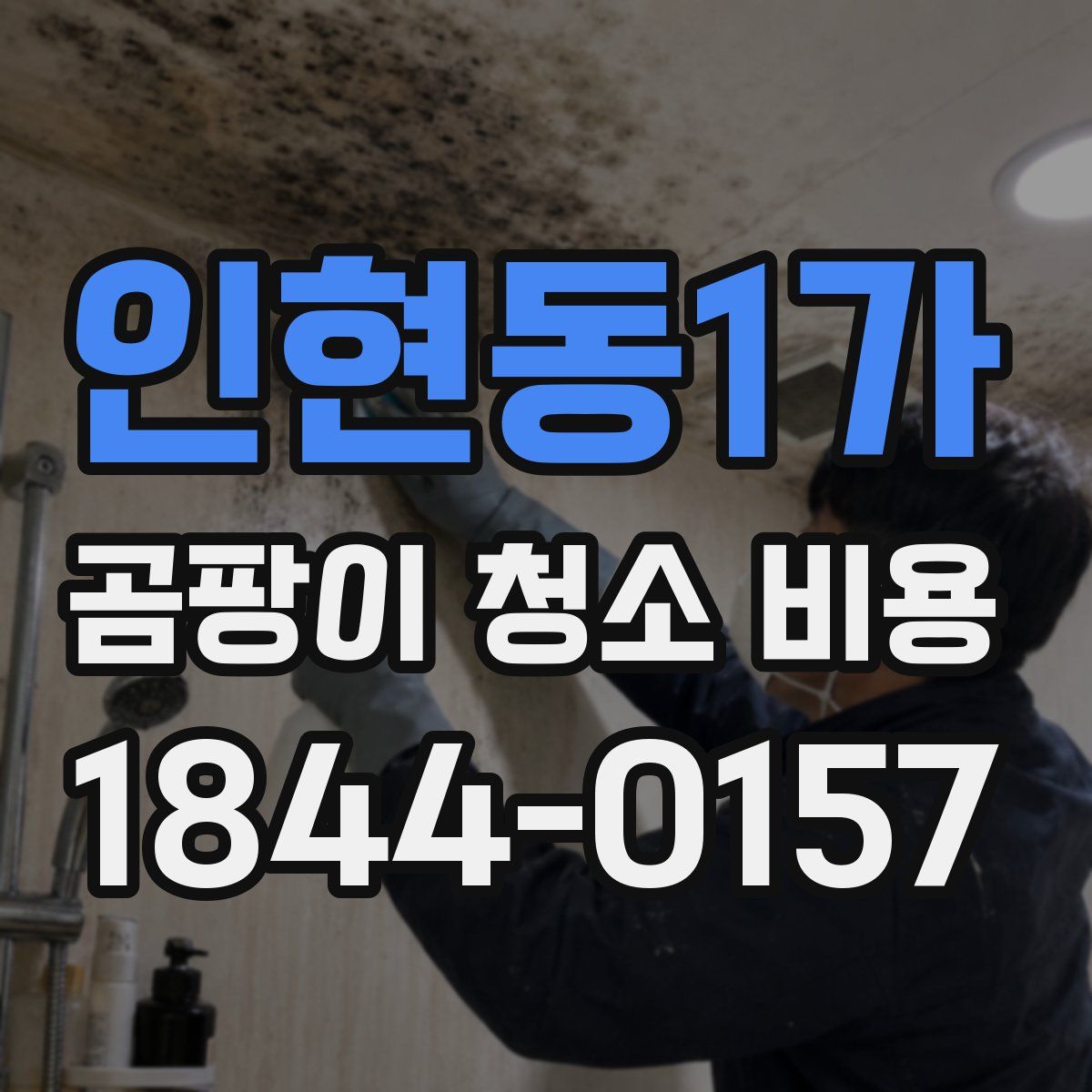 인현동1가 곰팡이 청소 비용