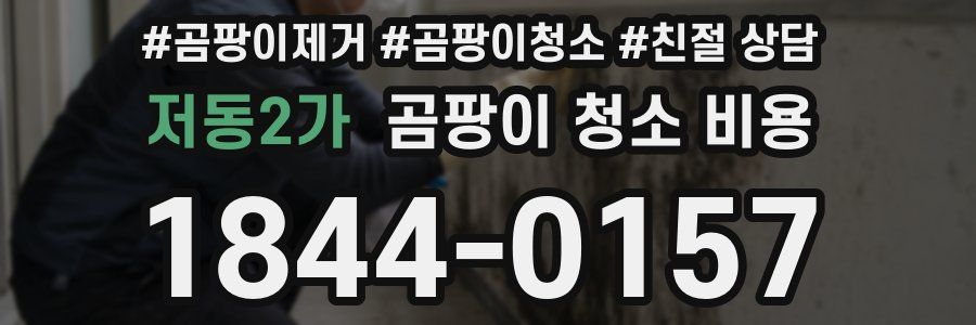 저동2가 곰팡이 청소 비용