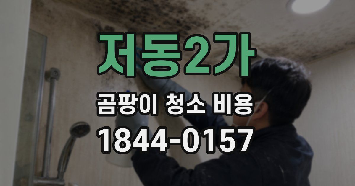 저동2가 곰팡이 청소 비용