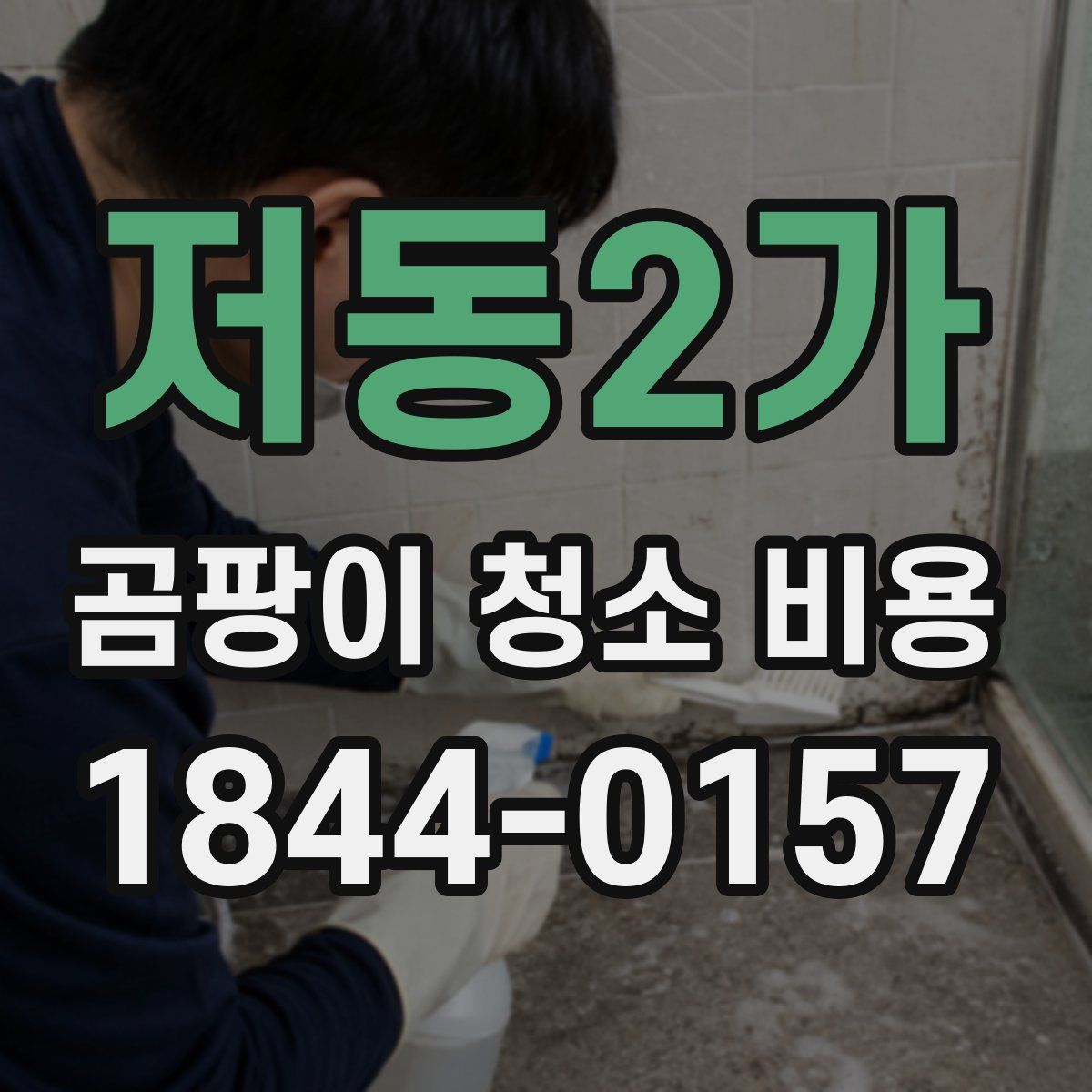 저동2가 곰팡이 청소 비용