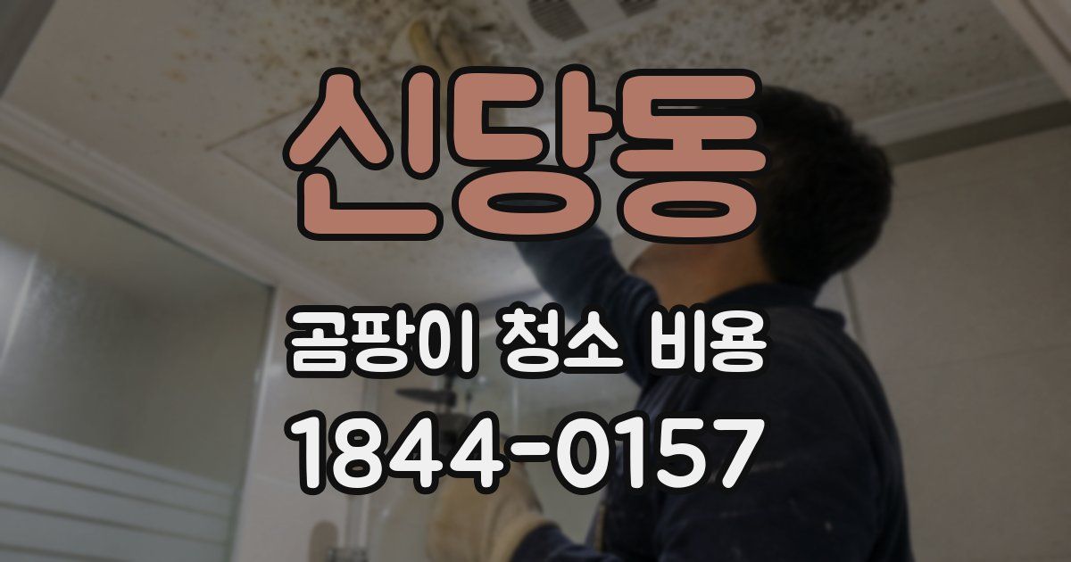 신당동 곰팡이 청소 비용