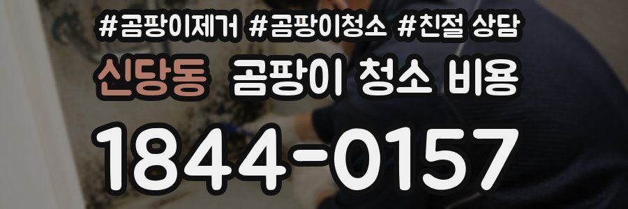 신당동 곰팡이 청소 비용