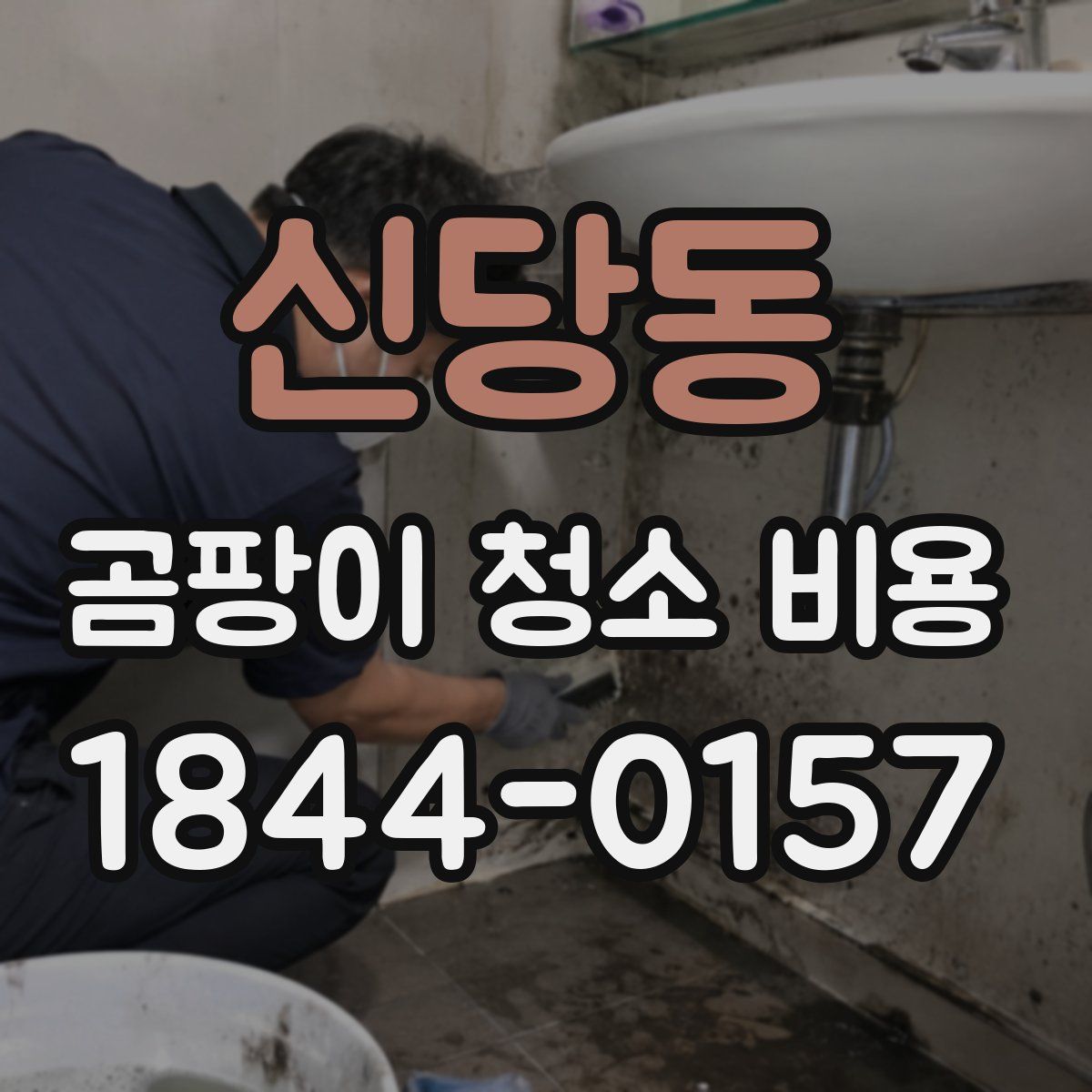 신당동 곰팡이 청소 비용
