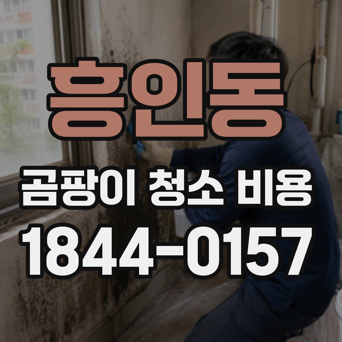 흥인동 곰팡이 청소 비용