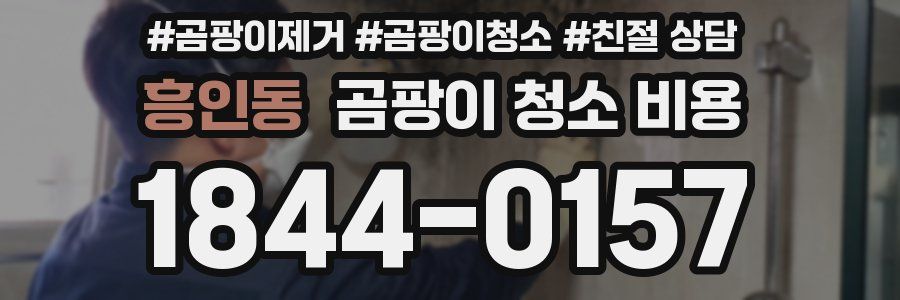 흥인동 곰팡이 청소 비용