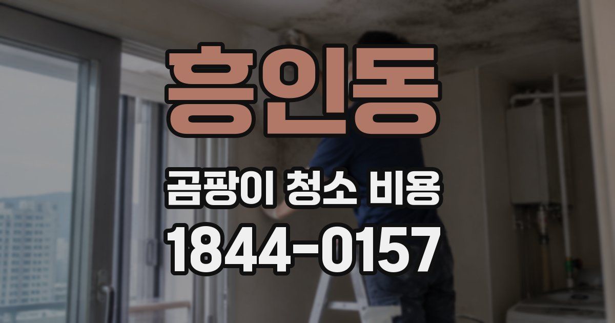 흥인동 곰팡이 청소 비용
