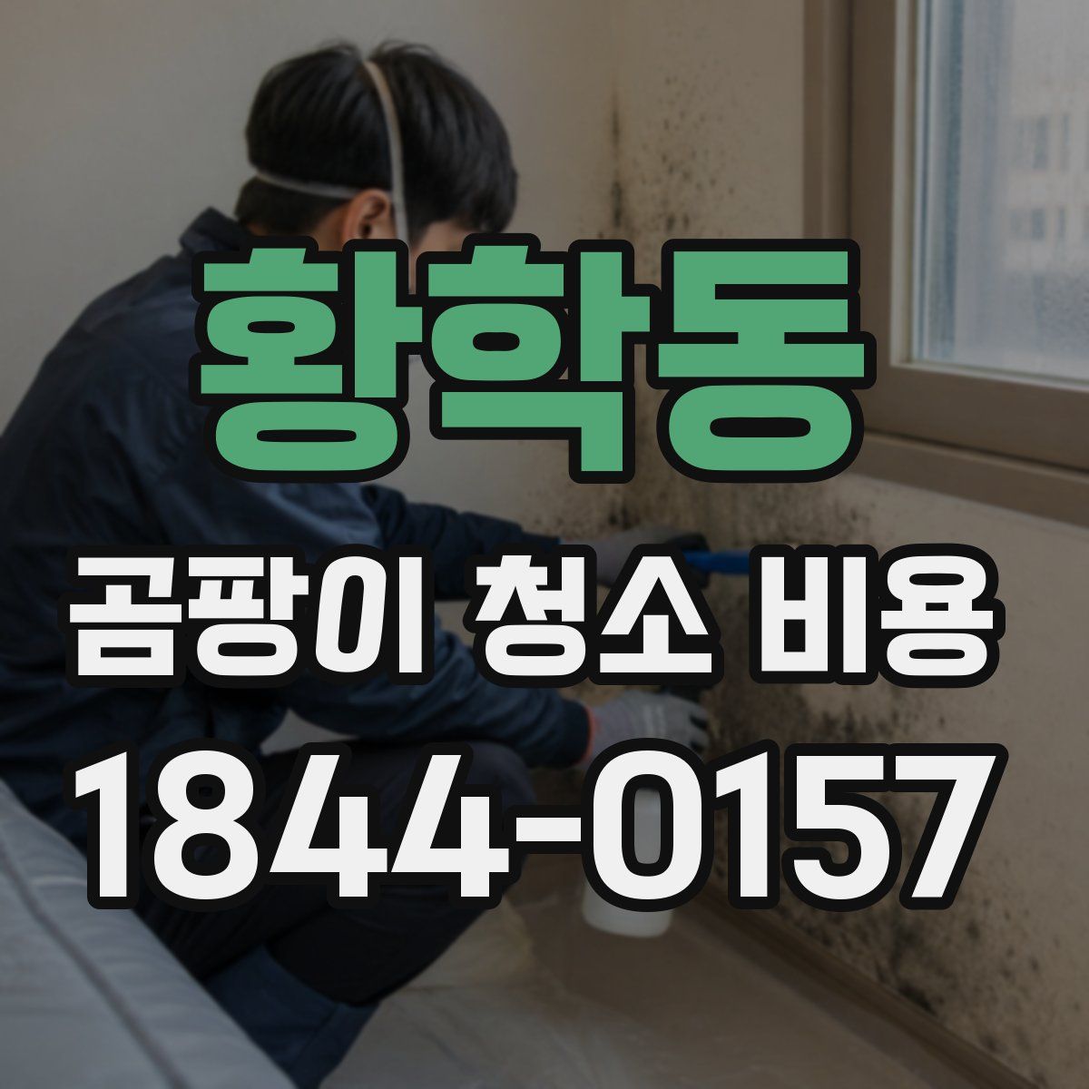 황학동 곰팡이 청소 비용