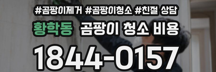 황학동 곰팡이 청소 비용