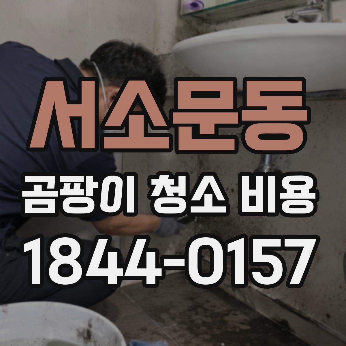 서소문동 곰팡이 청소 비용