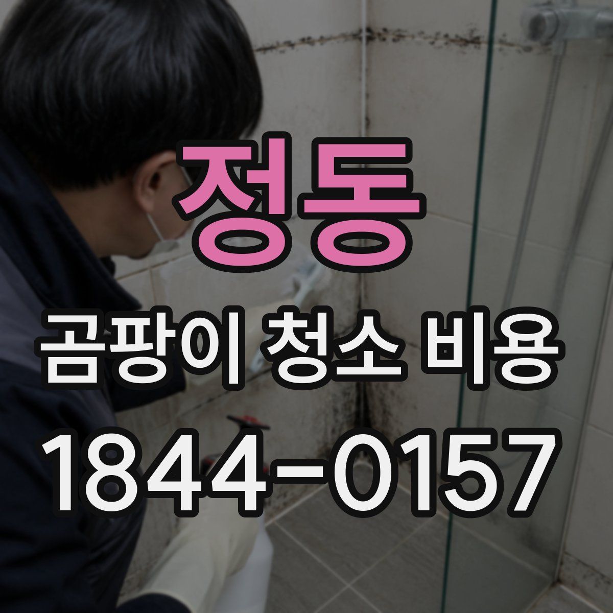 정동 곰팡이 청소 비용