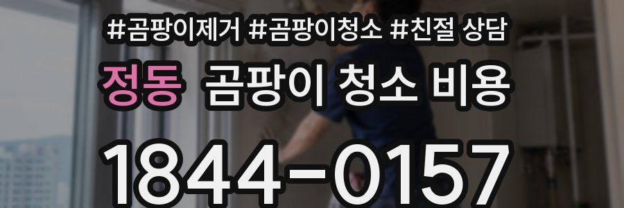 정동 곰팡이 청소 비용
