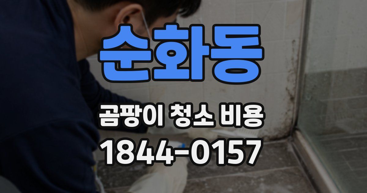 순화동 곰팡이 청소 비용