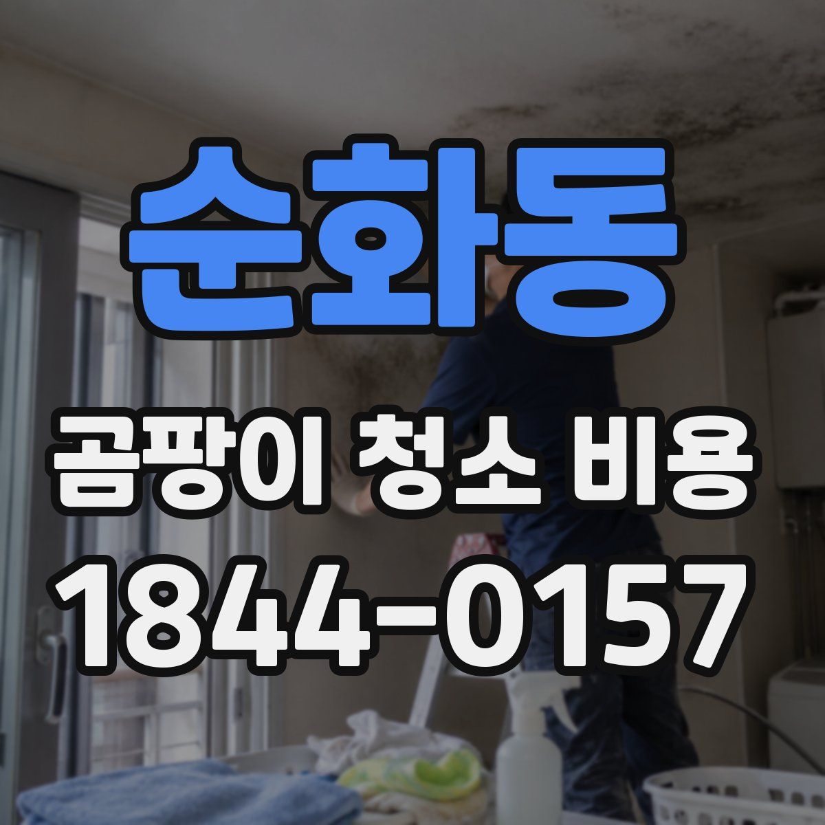 순화동 곰팡이 청소 비용