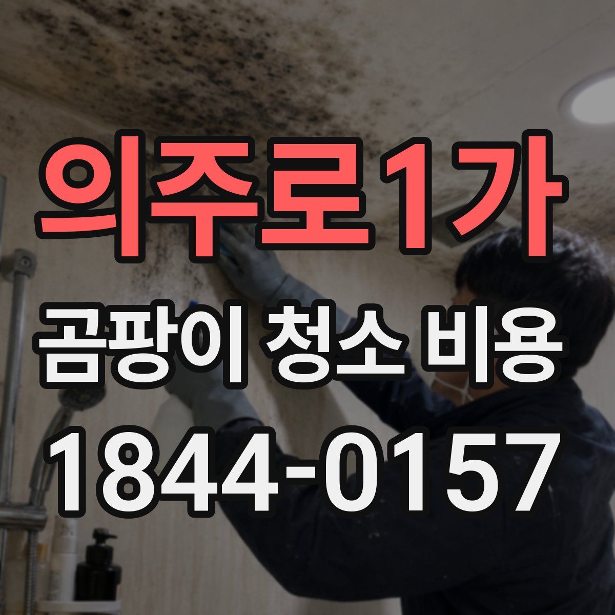 의주로1가 곰팡이 청소 비용