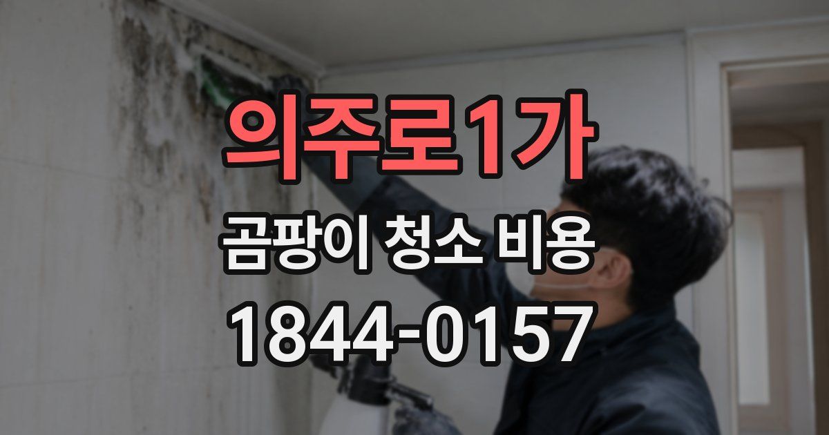 의주로1가 곰팡이 청소 비용