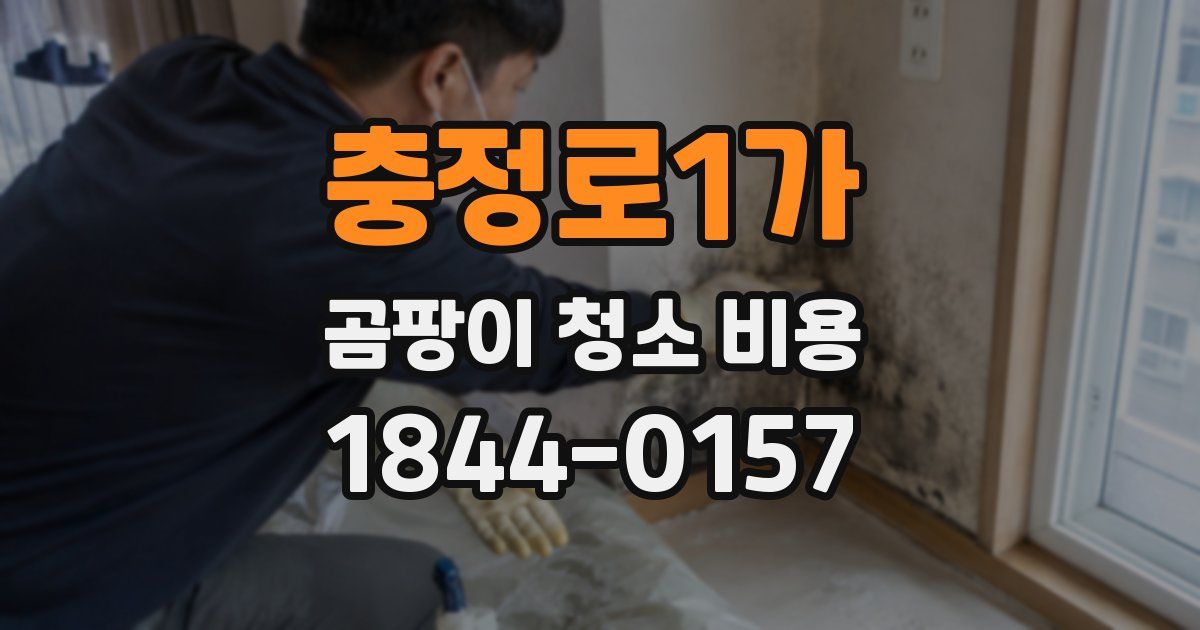 충정로1가 곰팡이 청소 비용