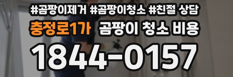 충정로1가 곰팡이 청소 비용