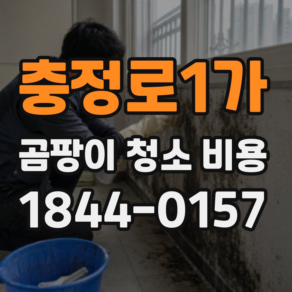 충정로1가 곰팡이 청소 비용