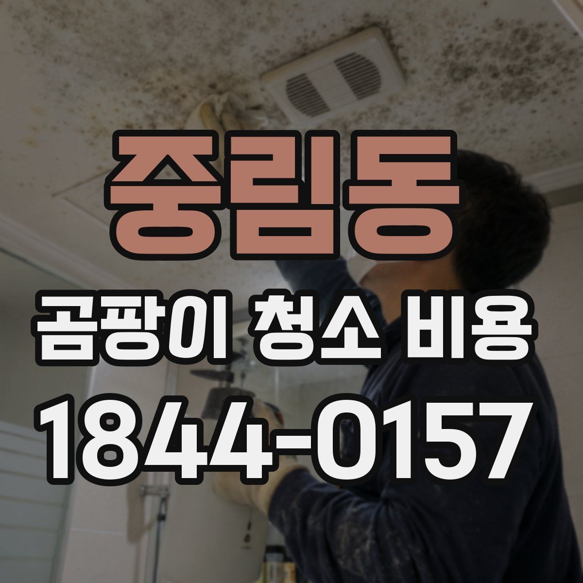 중림동 곰팡이 청소 비용