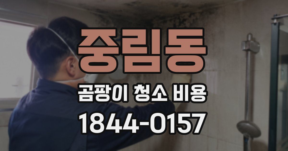 중림동 곰팡이 청소 비용