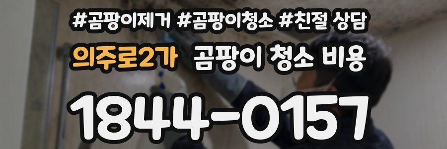 의주로2가 곰팡이 청소 비용