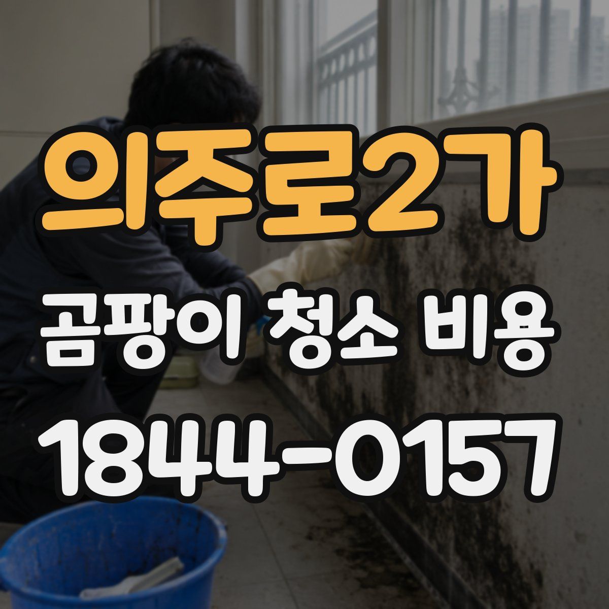 의주로2가 곰팡이 청소 비용