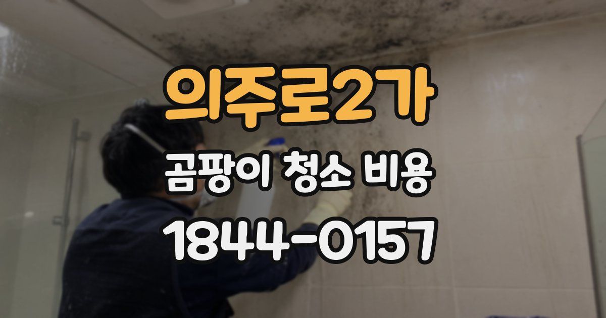의주로2가 곰팡이 청소 비용