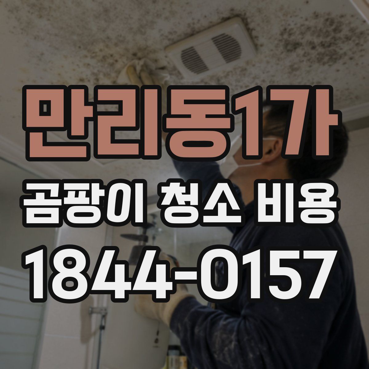만리동1가 곰팡이 청소 비용