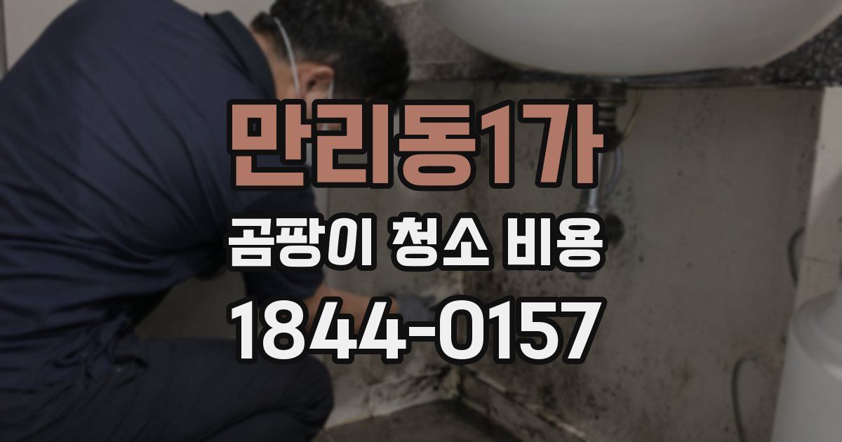 만리동1가 곰팡이 청소 비용