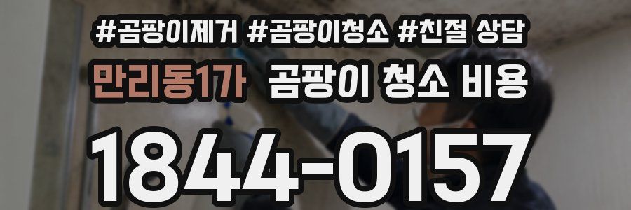 만리동1가 곰팡이 청소 비용