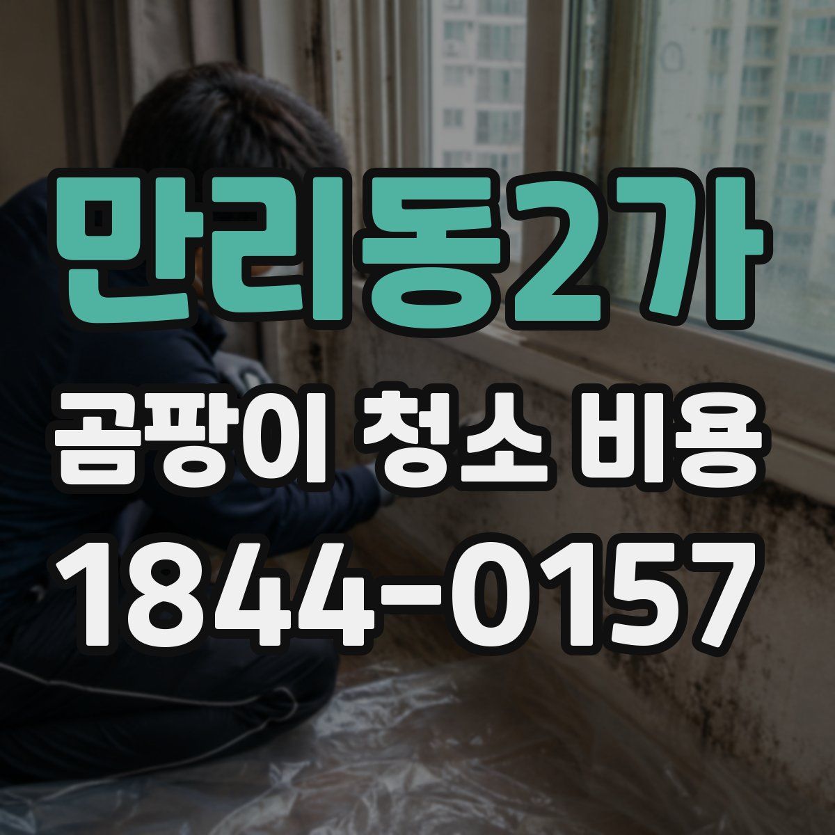 만리동2가 곰팡이 청소 비용