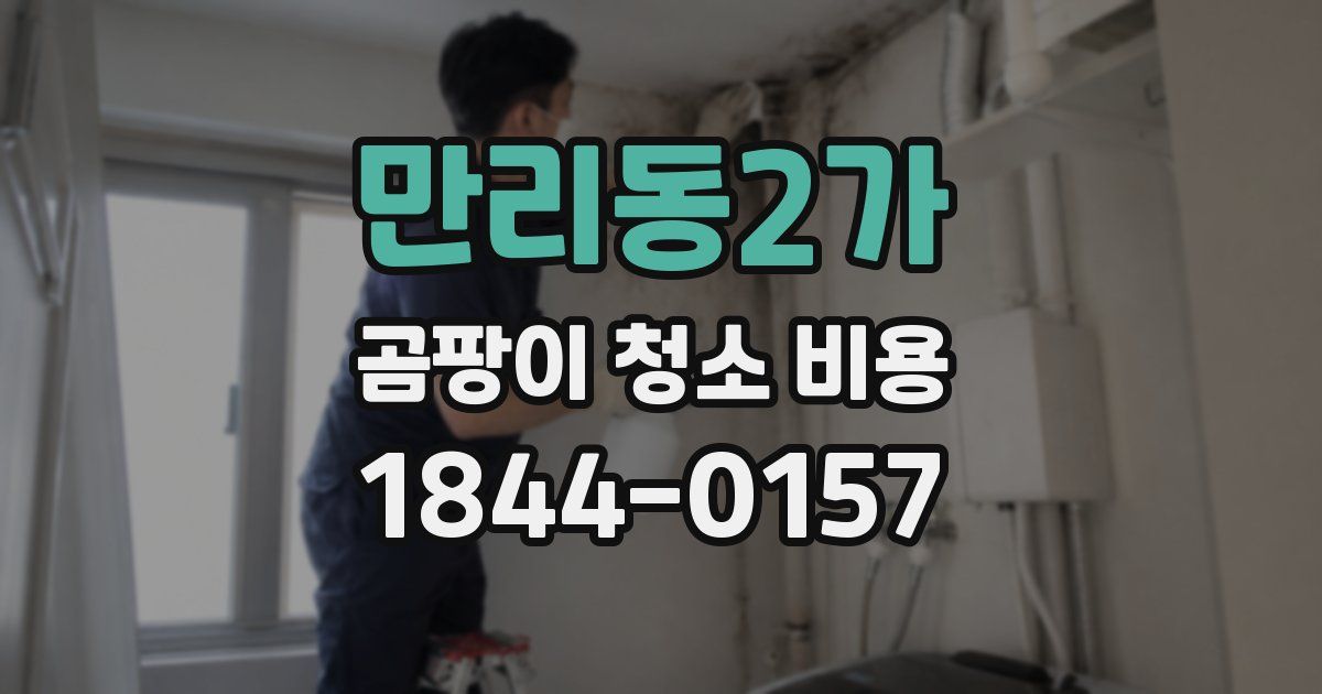 만리동2가 곰팡이 청소 비용