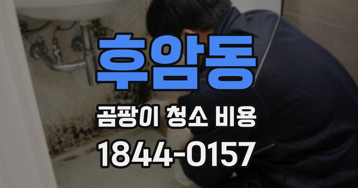 후암동 곰팡이 청소 비용