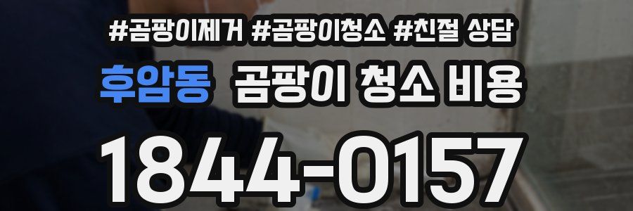 후암동 곰팡이 청소 비용